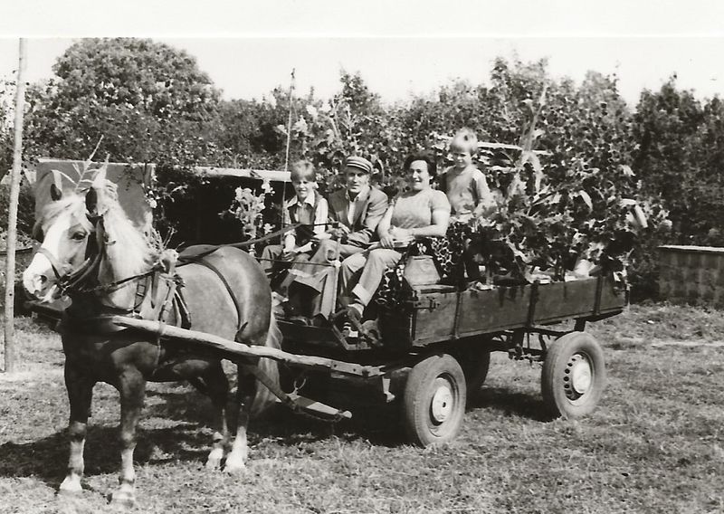 Datei:Erntefest 1985 6.jpg