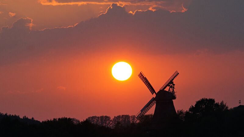 Datei:Fotopa Lichtenhagen.jpg