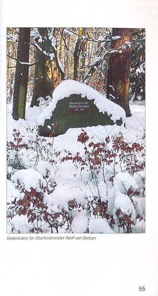 Datei:ML Gelbensander Forst 55.jpg