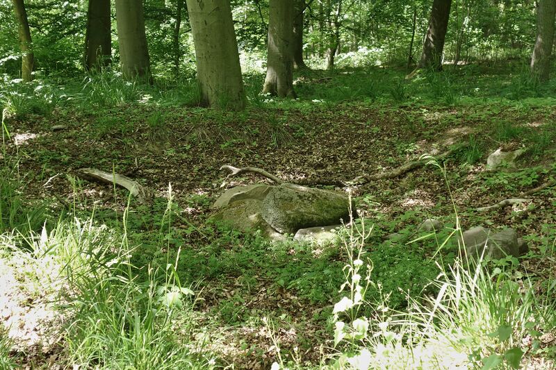Datei:Hünengräber Viezenhof 4.jpg
