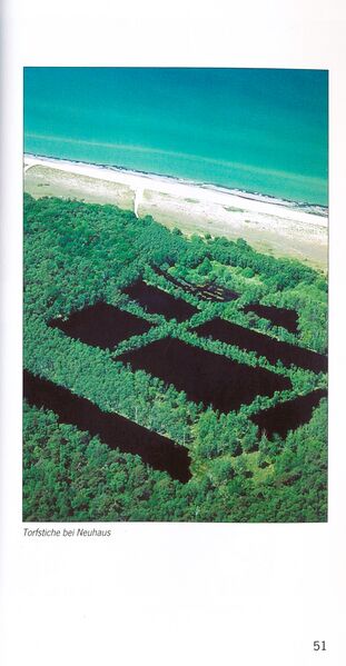 Datei:ML Gelbensander Forst 51.jpg