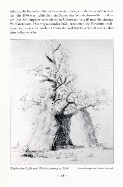 Datei:WS Heidegeschichten 034.jpg