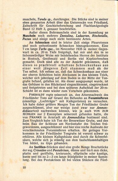 Datei:Friedland Rohn Blauton 1939 11.jpg