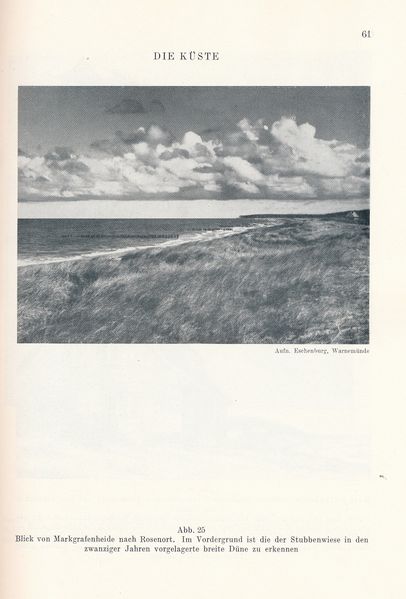 Datei:Kolp Nordöstliche Heide 0061.jpg