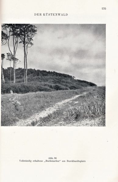 Datei:Kolp Nordöstliche Heide 0135.jpg