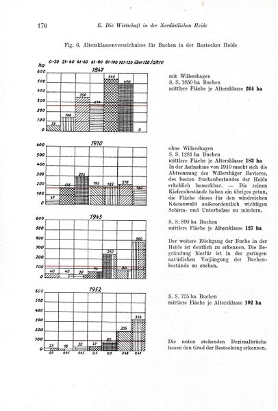 Datei:Kolp Nordöstliche Heide 0176.jpg