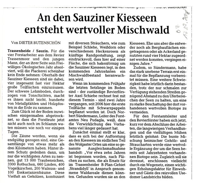 Datei:2008 neuer Wald.jpg
