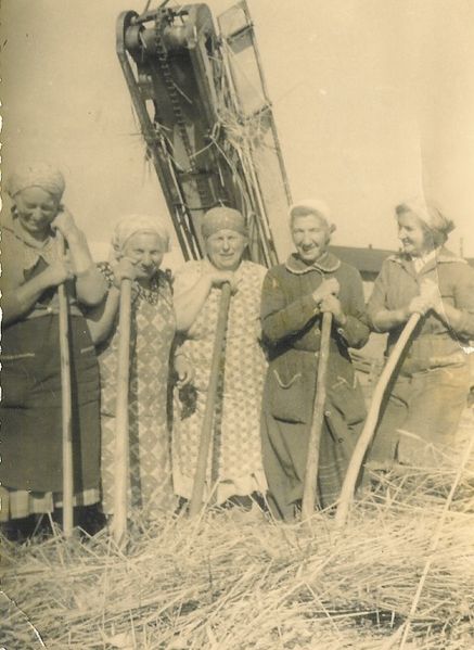 Datei:Glash202.jpg