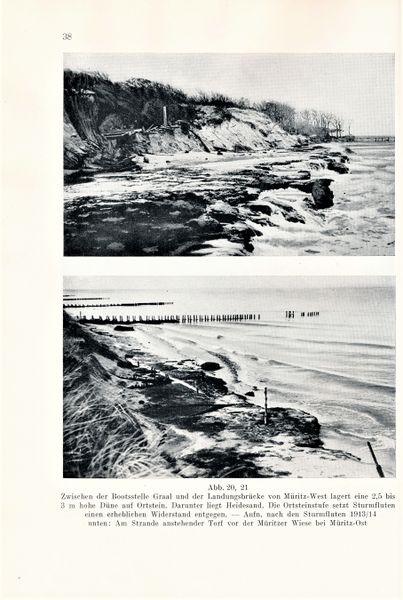 Datei:Kolp Nordöstliche Heide 0038.jpg