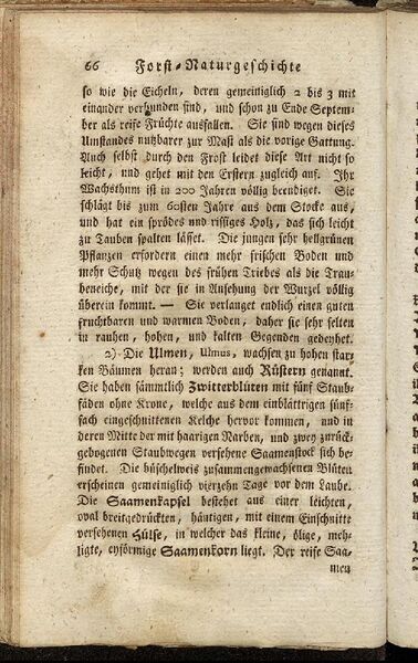 Datei:Fiedler Handbuch Forstwirtschaft 1796-075.jpg