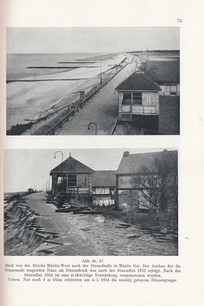 Datei:Kolp Nordöstliche Heide 0075.jpg