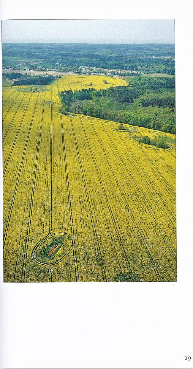 Meckl Landsch 2003 Rostocker Heide 29