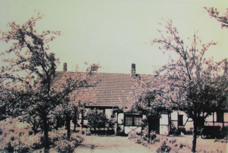 Datei:Tess46.jpg