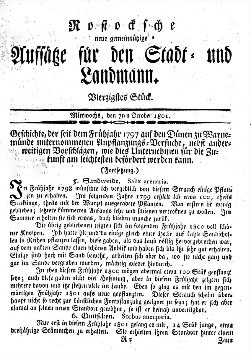 1801 Karsten Wmde Düne 158