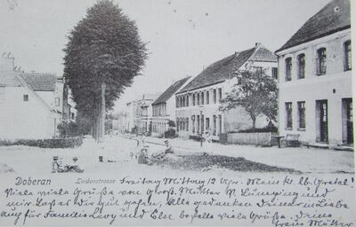 D17.JPG