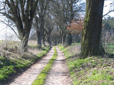 Impressionen 03