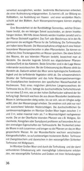 Datei:ML Gelbensander Forst 36.jpg