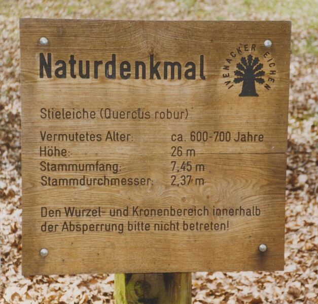 Datei:Ivenack 3.jpg