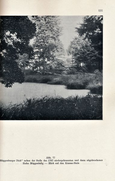 Datei:Kolp Nordöstliche Heide 0111.jpg
