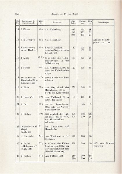 Datei:Kolp Nordöstliche Heide 0252.jpg