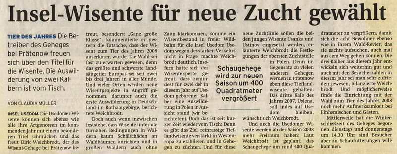Datei:2007 Wisent 11 b.jpg