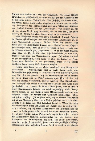 Datei:Köst 67.jpg