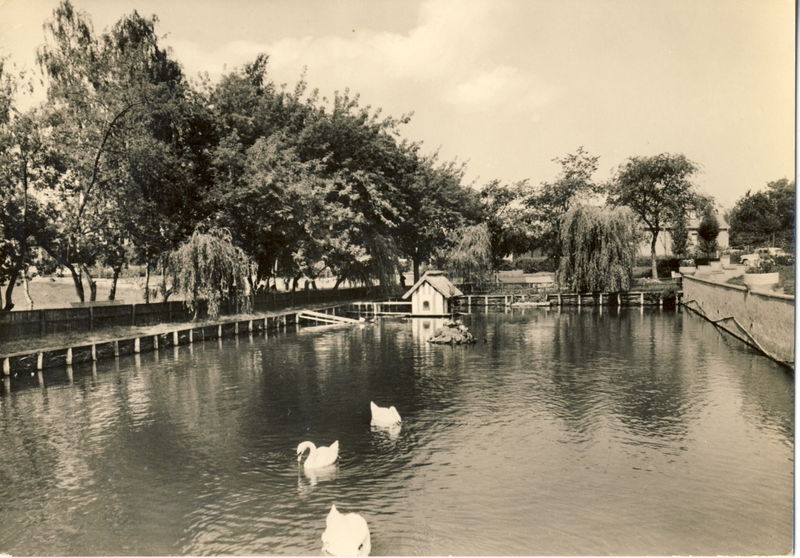Datei:1964 Usedom Schwanenteich.jpg