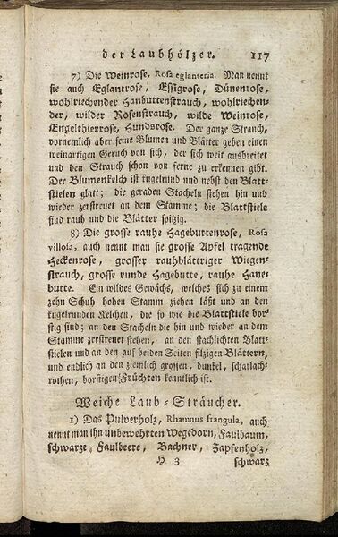 Datei:Fiedler Handbuch Forstwirtschaft 1796-126.jpg