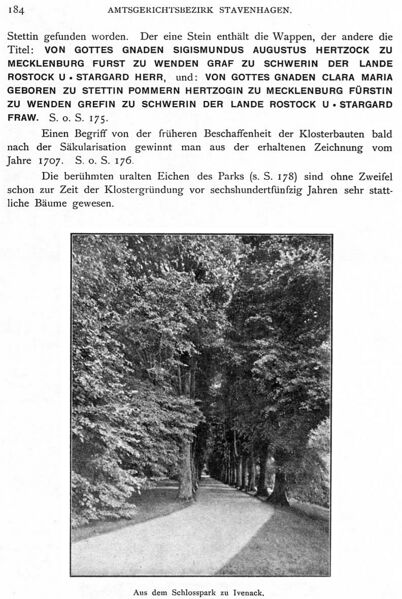 Datei:Ivenack Kloster S5 184.jpg