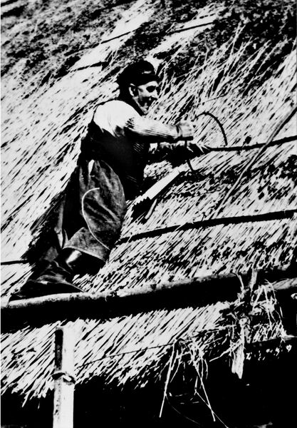 Datei:Mönchguter Fischer beim Rohrdach flicken um 1935.jpg