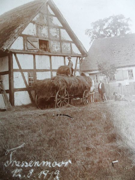 Datei:Trassenmoor 1.jpg