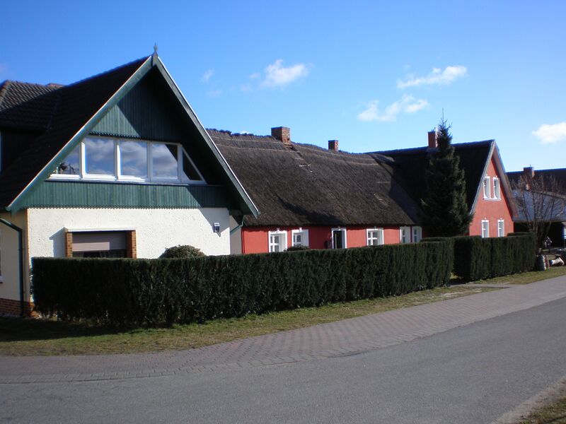 Datei:2008 Rieck 01.jpg