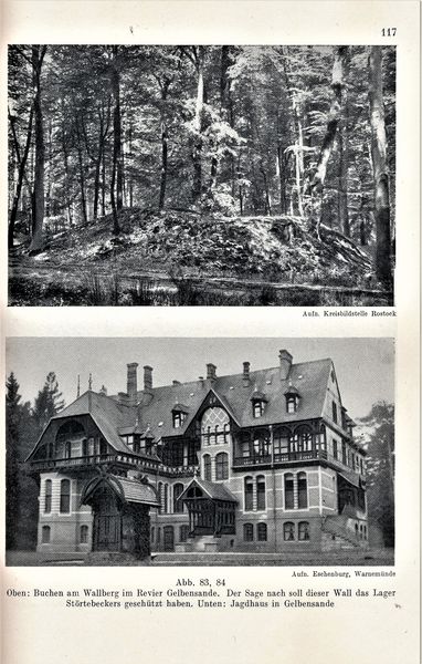 Datei:Kolp Nordöstliche Heide 0117.jpg