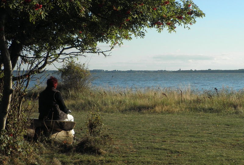Datei:Lassan im Blick.jpg
