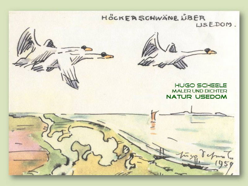 Datei:Natur Usedom Titel.jpg