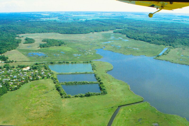 Datei:Radelsee 2005 3.jpg