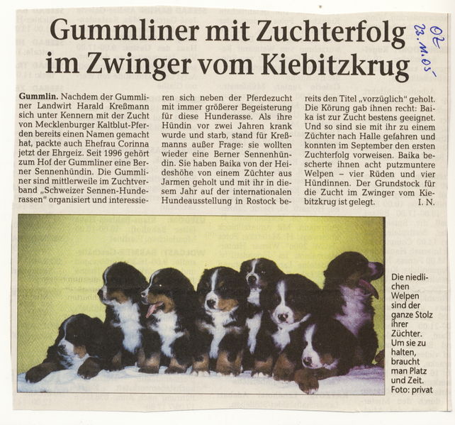 Datei:2005 Hund Kiebitzkrug.jpg