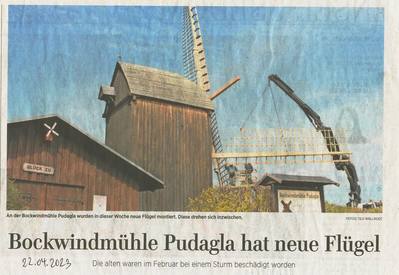 Datei:2023 April Flügel neu 1.jpg