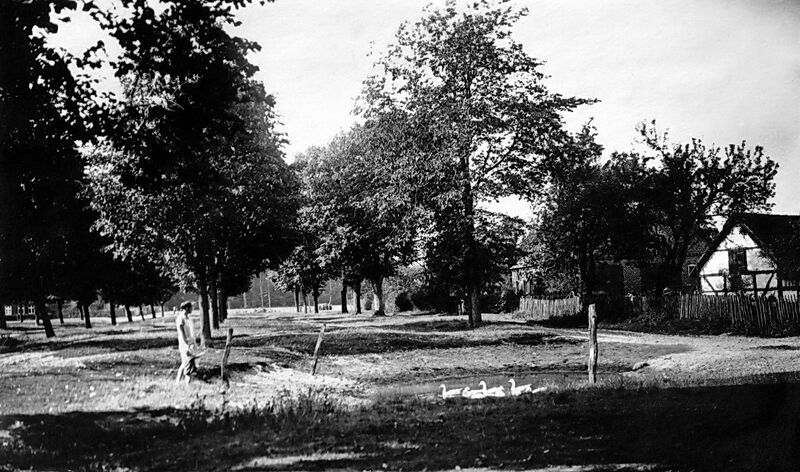 Datei:Friedrichsruhe Dorfstr. und Teich.jpg