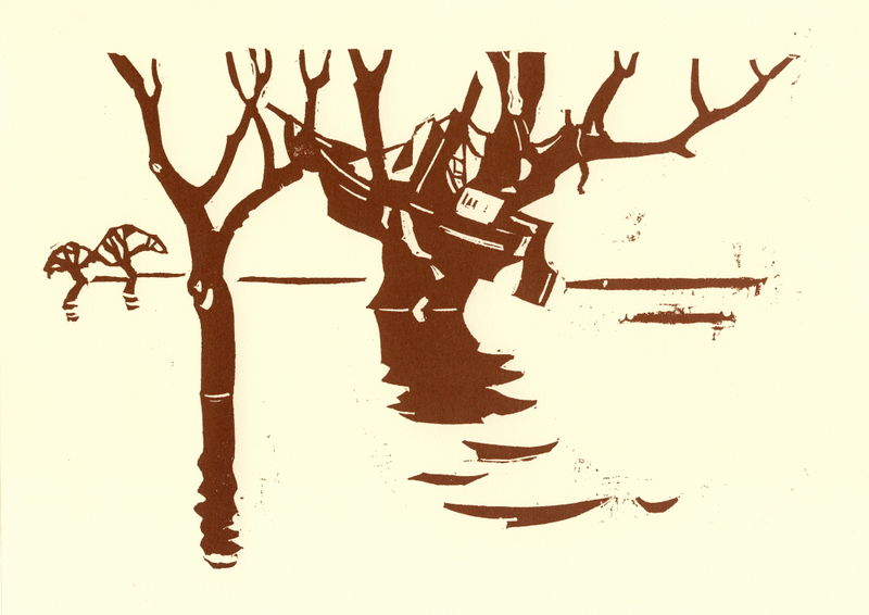 Datei:09 Singschwan kl.jpg