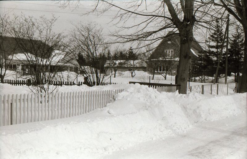 Datei:1979 Gelbensande Firma Bürgel.jpg