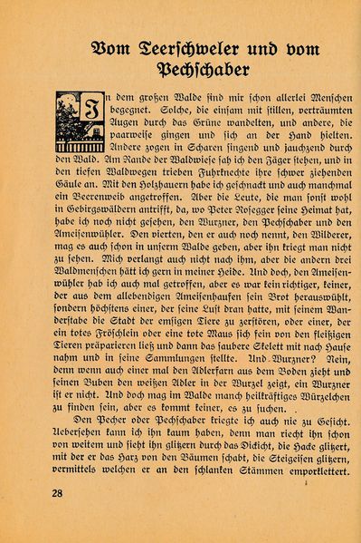 Datei:Ahrens Kleinod 28.jpg