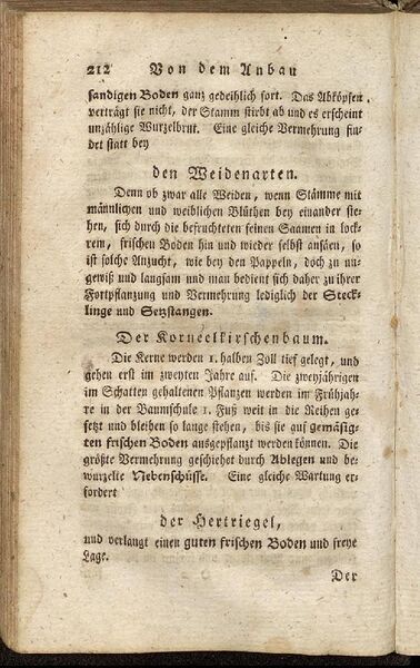Datei:Fiedler Handbuch Forstwirtschaft 1796-221.jpg