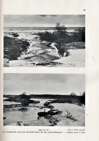 Datei:Kolp Nordöstliche Heide 0065.jpg