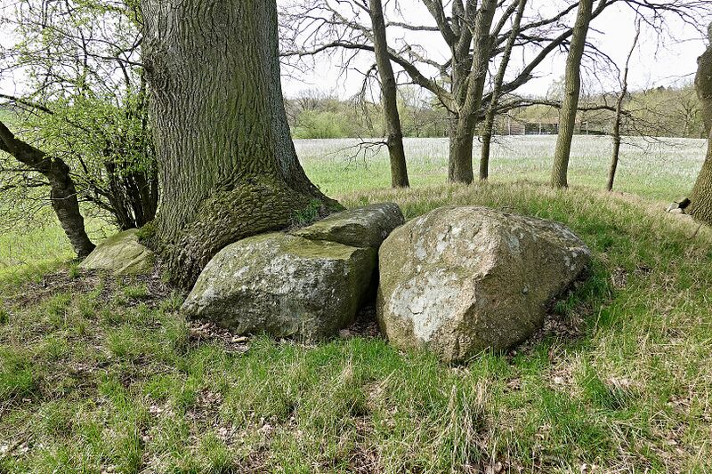 Datei:Hünengräber Pustow 2 2.jpg
