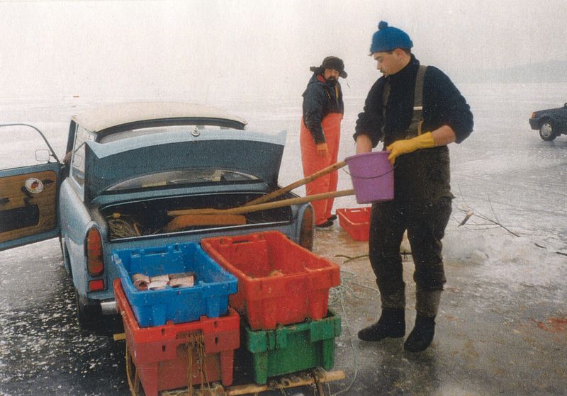 Datei:Eis 0060.jpg