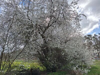 Impressionen 02
