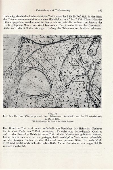 Datei:Kolp Nordöstliche Heide 0193.jpg