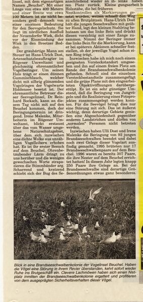 Datei:1998 Vogelinsel Beuchel 2.jpg