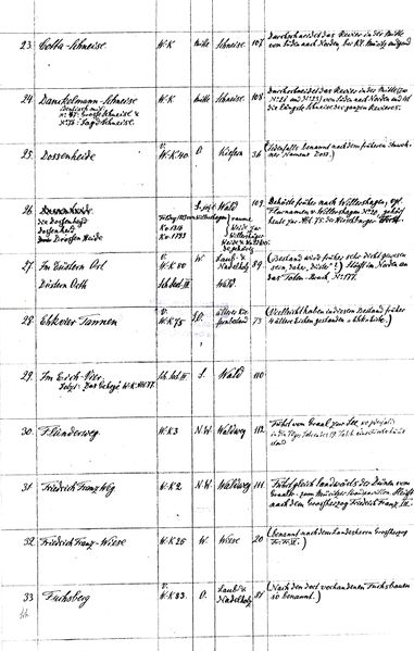 Datei:F Hirschb FL 04.jpg